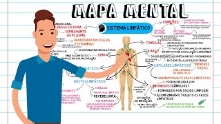 MAPA MENTAL  SISTEMA LINFÁTICO [upl. by Ines]