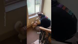 Corgis Heartwarming Reunion with Dad 🐾 [upl. by Emor350]