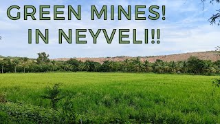 YOU WILL BE AMAZED TO SEE  Bioreclamation in NLCIL Neyveli  Restoring Nature  Green Mines [upl. by Lati]