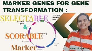 Marker genes for gene transformation Selectable marker Reporter marker Clean gene technology [upl. by Ariel]