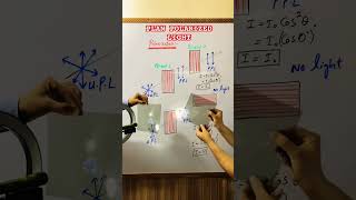 polarization of light II Method to obtain plane polarized light II Malus law physics polarization [upl. by Felicdad943]