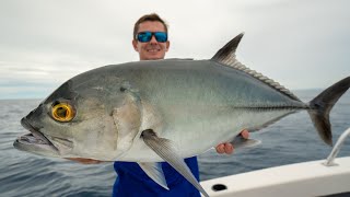 GIANT Ocean ROAMING Trevally Catch Clean Cook [upl. by Lal]