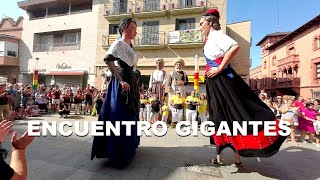 ENCUENTRO de GIGANTES  Festa Major Viladecans 2023 Barcelona 4k [upl. by Sayre851]