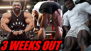 MR OLYMPIA 2024  3 WEEKS OUT  17 Contestants Updates 🔥 [upl. by Iahk]