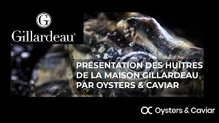 Oysters amp Caviar  Présentation de la Maison Gillardeau [upl. by Browning]