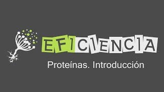 PROTEíNAS Introducción Tipos Funciones Holoproteínas Heteroproteínas [upl. by Sholom567]