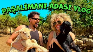 PAŞALİMANI ADASI VLOG [upl. by Olly]