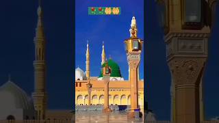 Hara gumbad jo dekhoge 🤲🤲❤️ trendingshorts viralshort [upl. by Robson]