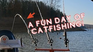 A Fun Day Of Catfishing [upl. by Amati]