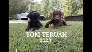 Feast of Trumpets 2023 [upl. by Veradis]