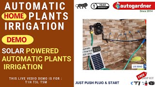 autogardner T1H Solar Powered automatic plants irrigation demo for home garden with smart timer [upl. by Calvin]