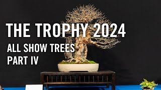 Trophy 2024 Belgium all show trees part 4 [upl. by Latsyrhc146]