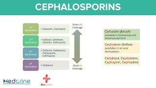 Cephalosporins Pharmacology 1st to 5th Generations Mnemonics Indications and Adverse effects [upl. by Ecineg]