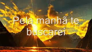 Pela Manhã Te Buscarei [upl. by Belen]