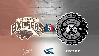 Honey Badgers VS Polar Beers  Div 5  10th October  IceHQ Rec League ice hockey [upl. by Nnaycart]