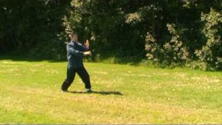 Wudang Tai Chi Handform  Kapser Larsenmpg [upl. by Barbi443]