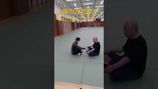 Aiki Techniques 合気の技術：仙骨操作 仙骨のエネルギーの伝達 Aiki throw with your sacrum ＃合気道 aikido shorts [upl. by Oshinski]