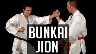 Bunkai Jion  Karate  Bernard Bilicki [upl. by Novello]