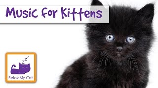 Music for Kittens  Relax Your Kitten [upl. by Rubbico]