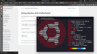 Configurando Servidor de Minecraft  Painel PufferPanel no Docker [upl. by Tuchman]