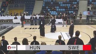 HungarySweden  28 European Kendo Championships Budapest 2017 [upl. by Anina788]