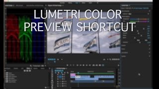 Lumetri Color Preview Shortcut [upl. by Ursulina806]