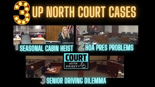 Up North Court Cabin Heist HOA President Problems amp Senior Driving Crash Restitution Dilemma [upl. by Bary]