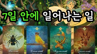 ☆｡타로･ﾟ✧🌟7일안에 일어나는 일7월29일8월4일 주간타로 [upl. by Ztnahc]