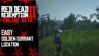 Easy golden currant location  Red Dead Redemption 2 Online [upl. by Abate]