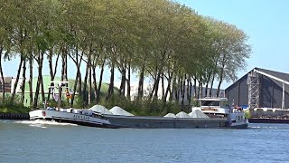 ⚓️ ADELAAR vrachtschip uit Ouderkerk aan de IJssel 02316726 gespot 15 04 2020 [upl. by Painter458]