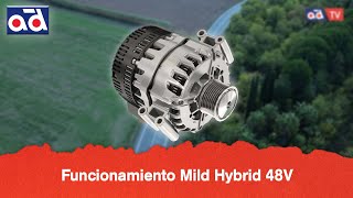 Funcionamiento Mild Hybrid 48V [upl. by Aracaj]