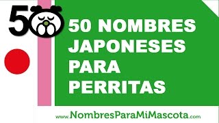 50 nombres japoneses para perras  wwwnombresparamimascotacom [upl. by Cohdwell]