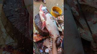 Excellent Cutting Skills  Big Silver Carp Fish Cutting By Expert Fish Cutter😱😱 shorts [upl. by Oirasor]