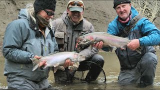 Epic Late Fall Steelhead Fishing  Ohio amp Pennsylvania [upl. by Tinor]