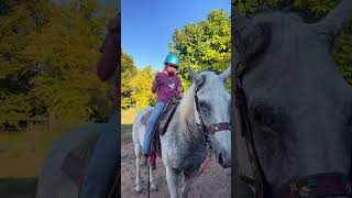 tack up and ride w me fypシ゚ horse [upl. by Ayat812]