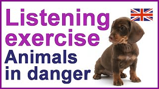 English listening exercise  Animals in danger [upl. by Lindner]