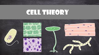 Cell Theory  Cell Biology [upl. by Docile]