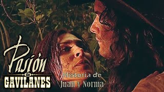 Pasion de Gavilanes PDG Juan y Norma 537  La Muerte de Dinora [upl. by Herzen]