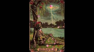 Brokedown Palace by the Grateful Dead gratefuldead jerrygarcia bobweir [upl. by Ynnavoj]