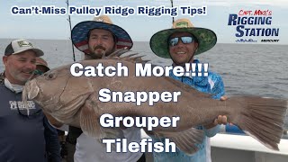 Snapper grouper tilefish  Snapper amp Grouper Fishing  catch more snapper grouper  snapper grouper [upl. by Ahcorb]