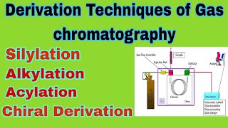 Derivatization techniques of gas chromatography ll B pharm 7th sem ll part2 ll In hindi [upl. by Helaine847]