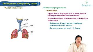 Development of respiratory system  Embryology Lecture [upl. by Callas]