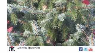 kerstboom ophalen [upl. by Noed]