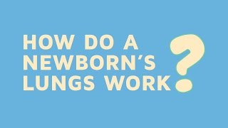 How Do A Newborns Lungs Work [upl. by Yotal]