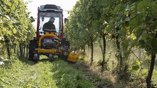 Kirkland UK Fruit amp Vineyard Machinery [upl. by Zashin]