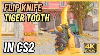 ★ CS2 Flip Knife Tiger Tooth  CS2 Knife InGame Showcase 4K [upl. by Skutchan394]