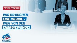 Petra Federau Wir brauchen eine Wende  weg von der Energiewende [upl. by Arremat]