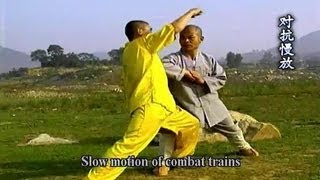 Shaolin Kung Fu big Hong Quan combat applications [upl. by Orfurd]