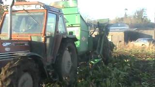 Armer Harvesting Fodder Beet Tipperary [upl. by Artaed]