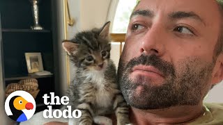 PhoneSized Kitten Turns Guy Into A Cat Person  The Dodo [upl. by Onileba]